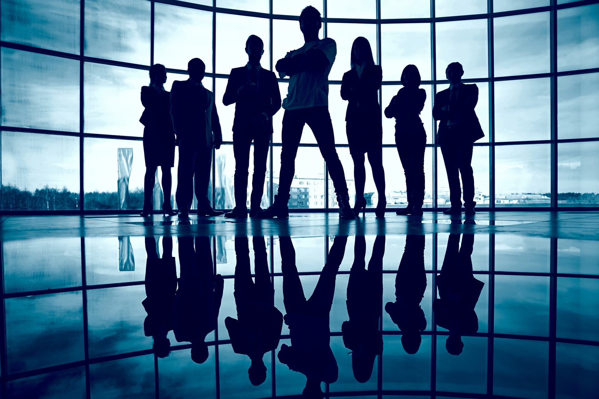 About Elverra Global